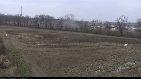 Cell 2_24-03-31_14-57-30-55