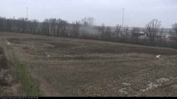 Cell 2_24-03-31_15-30-59-51