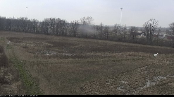 Cell 2_24-03-31_16-04-29-49