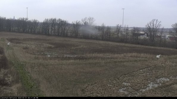 Cell 2_24-03-31_17-11-28-53