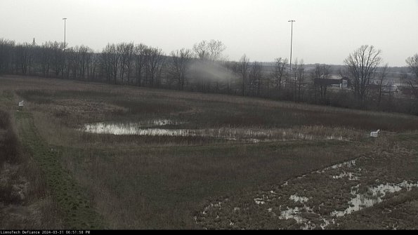 Cell 2_24-03-31_18-51-58-55