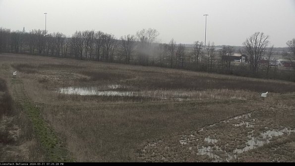 Cell 2_24-03-31_19-25-28-53