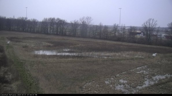 Cell 2_24-03-31_19-58-57-55