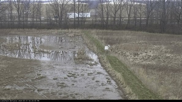 Cell 3 to 4_24-03-31_14-24-43-48