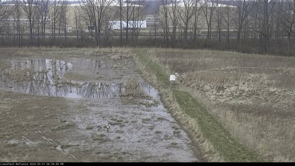 Cell 3 to 4_24-03-31_16-38-40-49