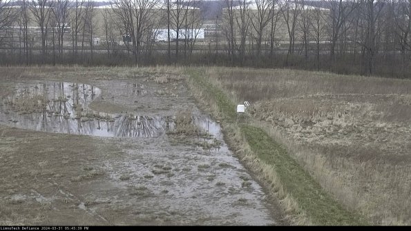 Cell 3 to 4_24-03-31_17-45-39-49