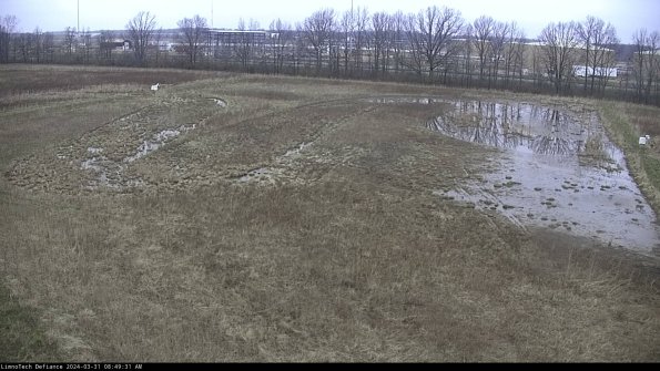 Cell 3_24-03-31_08-49-31-73