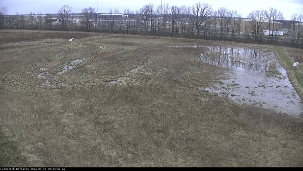 Cell 3_24-03-31_09-23-02-48