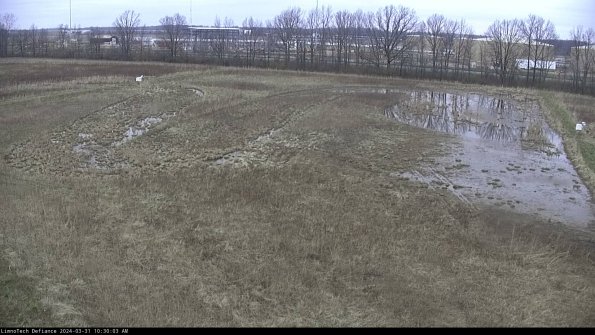 Cell 3_24-03-31_10-30-03-48