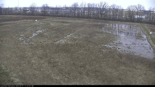 Cell 3_24-03-31_11-37-01-75