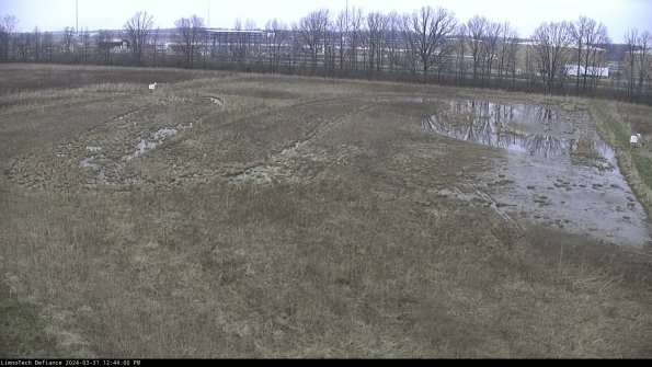 Cell 3_24-03-31_12-44-00-48