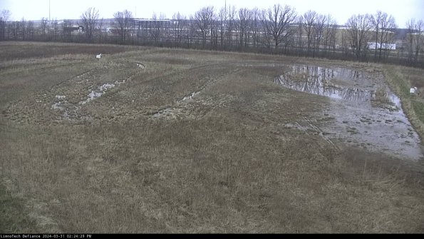 Cell 3_24-03-31_14-24-29-50