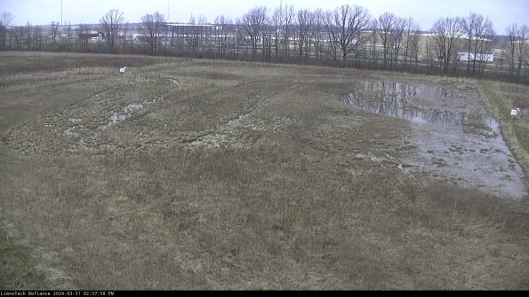 Cell 3_24-03-31_14-57-58-52