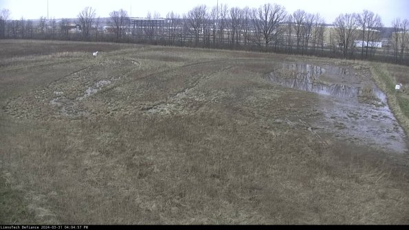 Cell 3_24-03-31_16-04-57-49