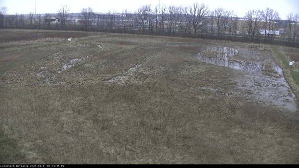 Cell 3_24-03-31_17-45-25-51