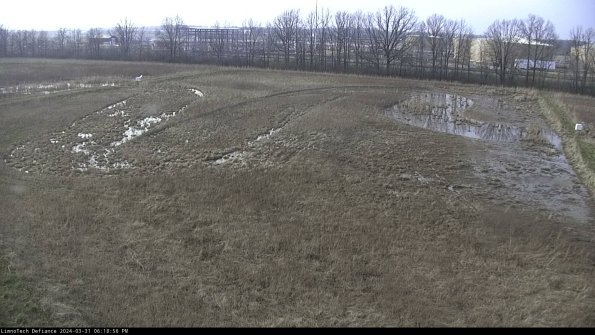 Cell 3_24-03-31_18-18-56-53