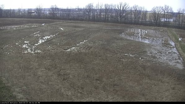 Cell 3_24-03-31_18-52-26-51