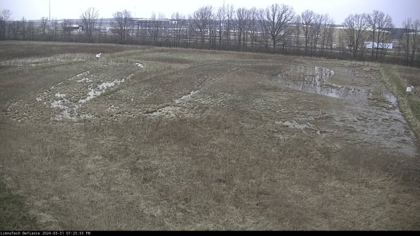 Cell 3_24-03-31_19-25-55-73