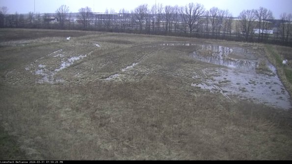 Cell 3_24-03-31_19-59-25-51