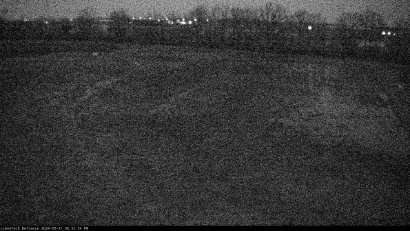 Cell 3_24-03-31_20-32-54-69