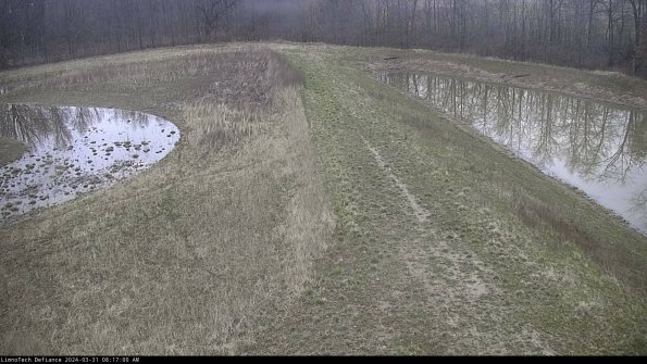 Cell 4 to Basin_24-03-31_08-17-00-51