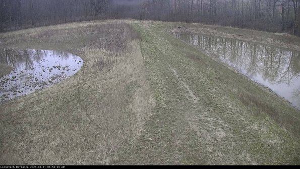 Cell 4 to Basin_24-03-31_08-50-29-52