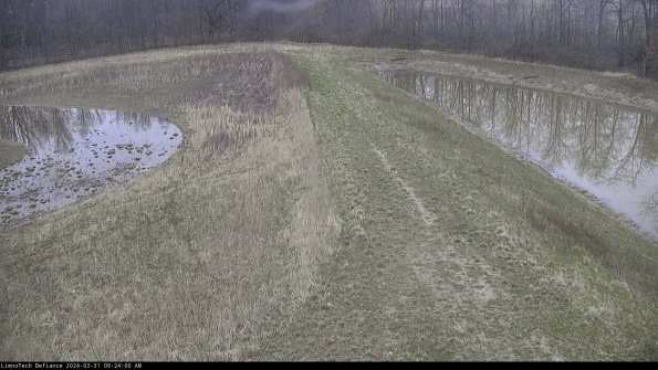 Cell 4 to Basin_24-03-31_09-24-00-54