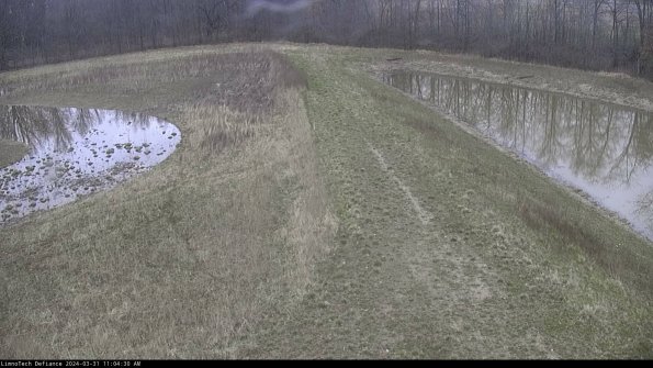 Cell 4 to Basin_24-03-31_11-04-30-52