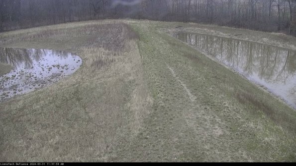 Cell 4 to Basin_24-03-31_11-37-59-50