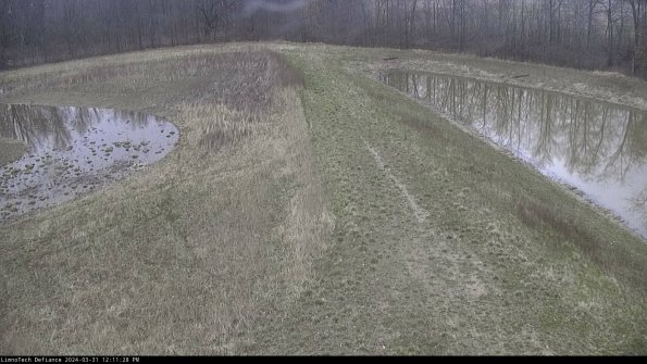 Cell 4 to Basin_24-03-31_12-11-28-49