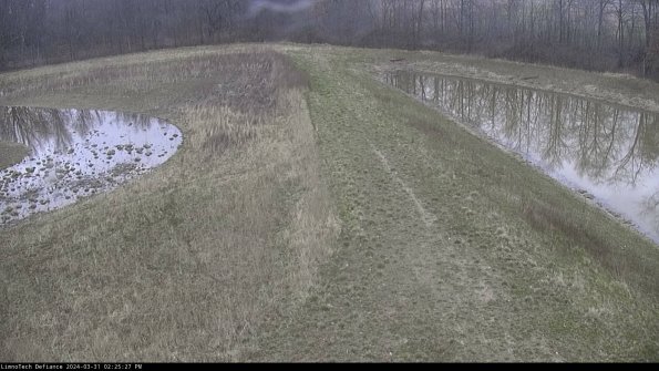 Cell 4 to Basin_24-03-31_14-25-27-53