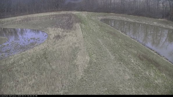 Cell 4 to Basin_24-03-31_16-05-55-51