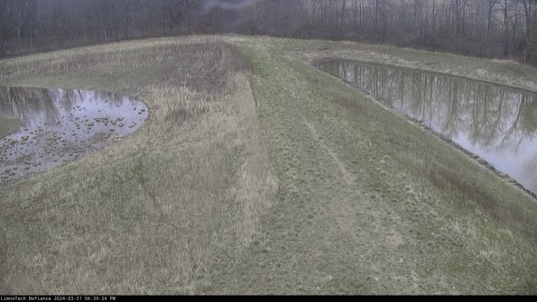 Cell 4 to Basin_24-03-31_16-39-24-53