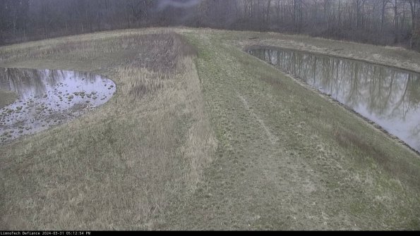 Cell 4 to Basin_24-03-31_17-12-54-52