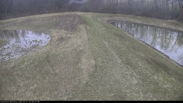 Cell 4 to Basin_24-03-31_17-46-23-50