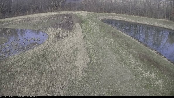 Cell 4 to Basin_24-03-31_18-19-54-52