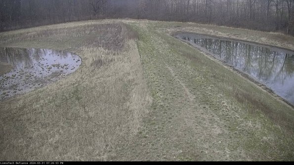 Cell 4 to Basin_24-03-31_19-26-53-52