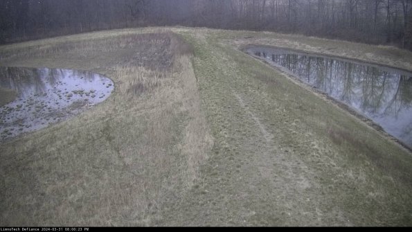 Cell 4 to Basin_24-03-31_20-00-23-50