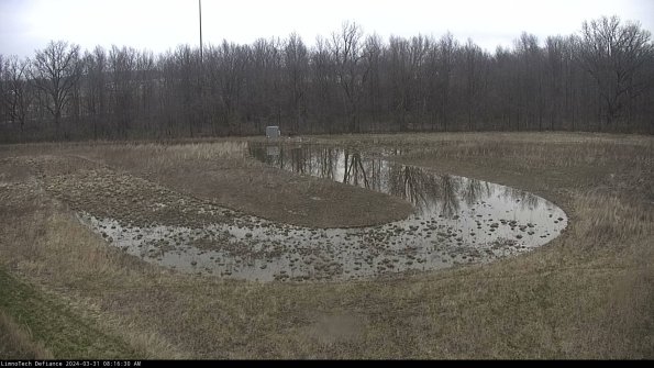 Cell 4_24-03-31_08-16-30-51