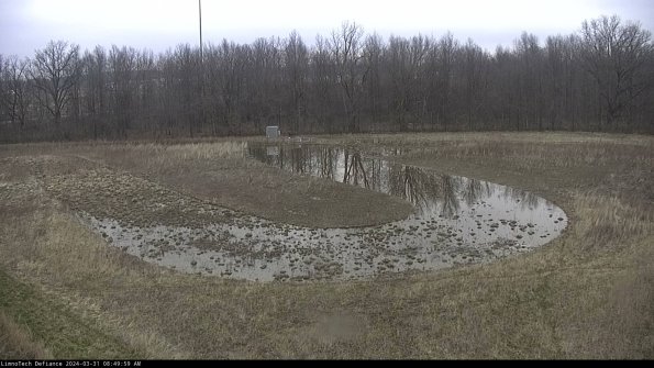 Cell 4_24-03-31_08-49-59-52