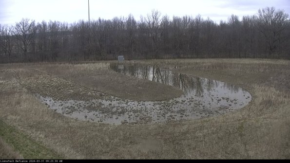 Cell 4_24-03-31_09-23-30-51