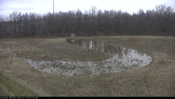 Cell 4_24-03-31_09-57-00-49