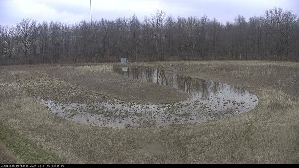 Cell 4_24-03-31_14-58-26-51