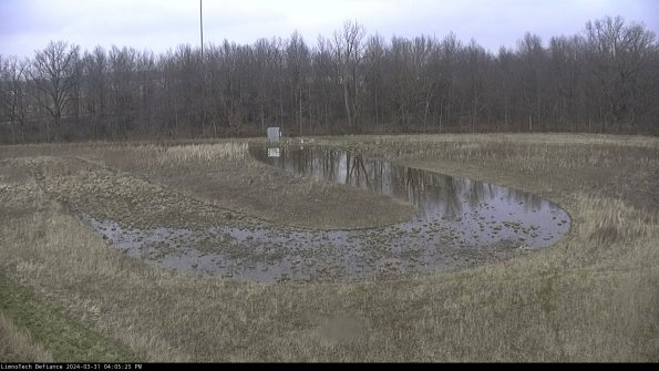 Cell 4_24-03-31_16-05-25-48