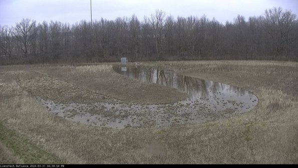 Cell 4_24-03-31_16-38-54-50