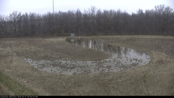 Cell 4_24-03-31_17-45-53-50