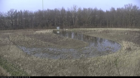 Cell 4_24-03-31_18-19-24-49