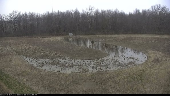 Cell 4_24-03-31_18-52-54-51