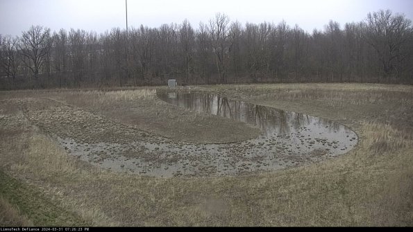 Cell 4_24-03-31_19-26-23-49