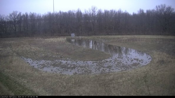 Cell 4_24-03-31_19-59-53-51